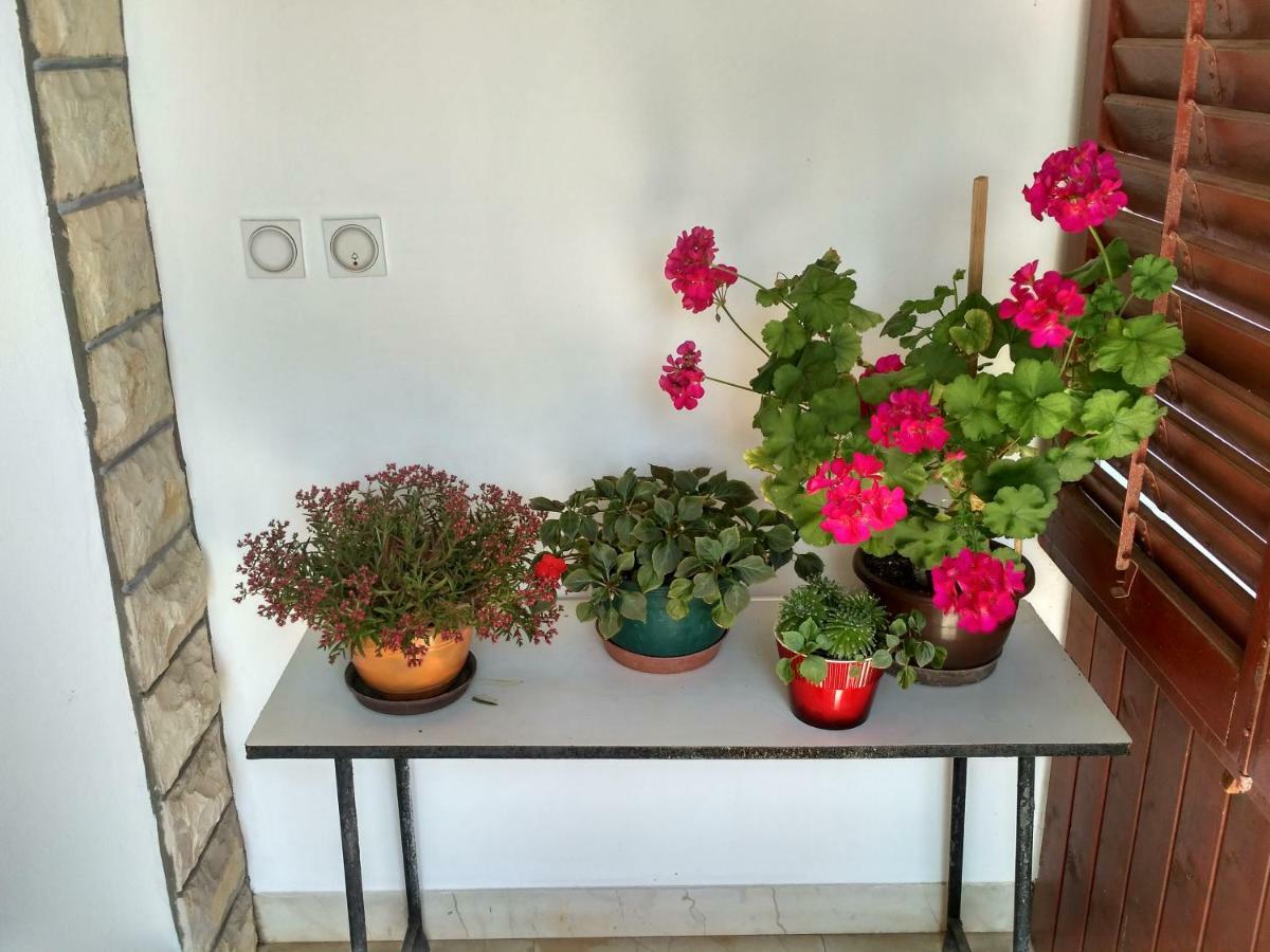 Apartmani Tonica Sukošan Buitenkant foto